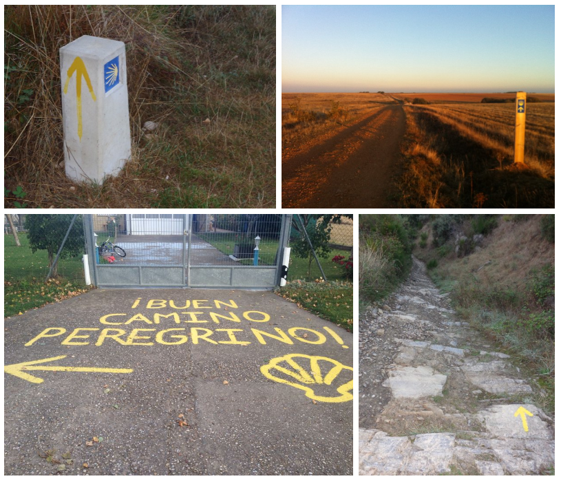 CaminoYellowArrows