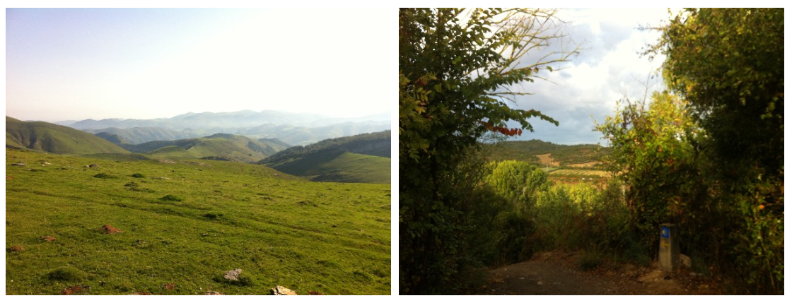 CaminoScenery