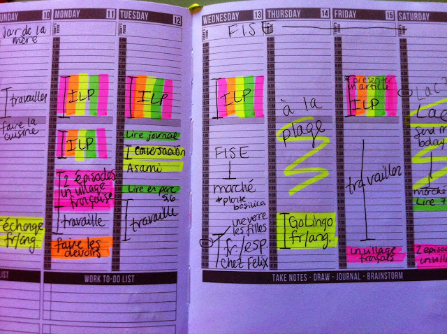 French Study Schedule