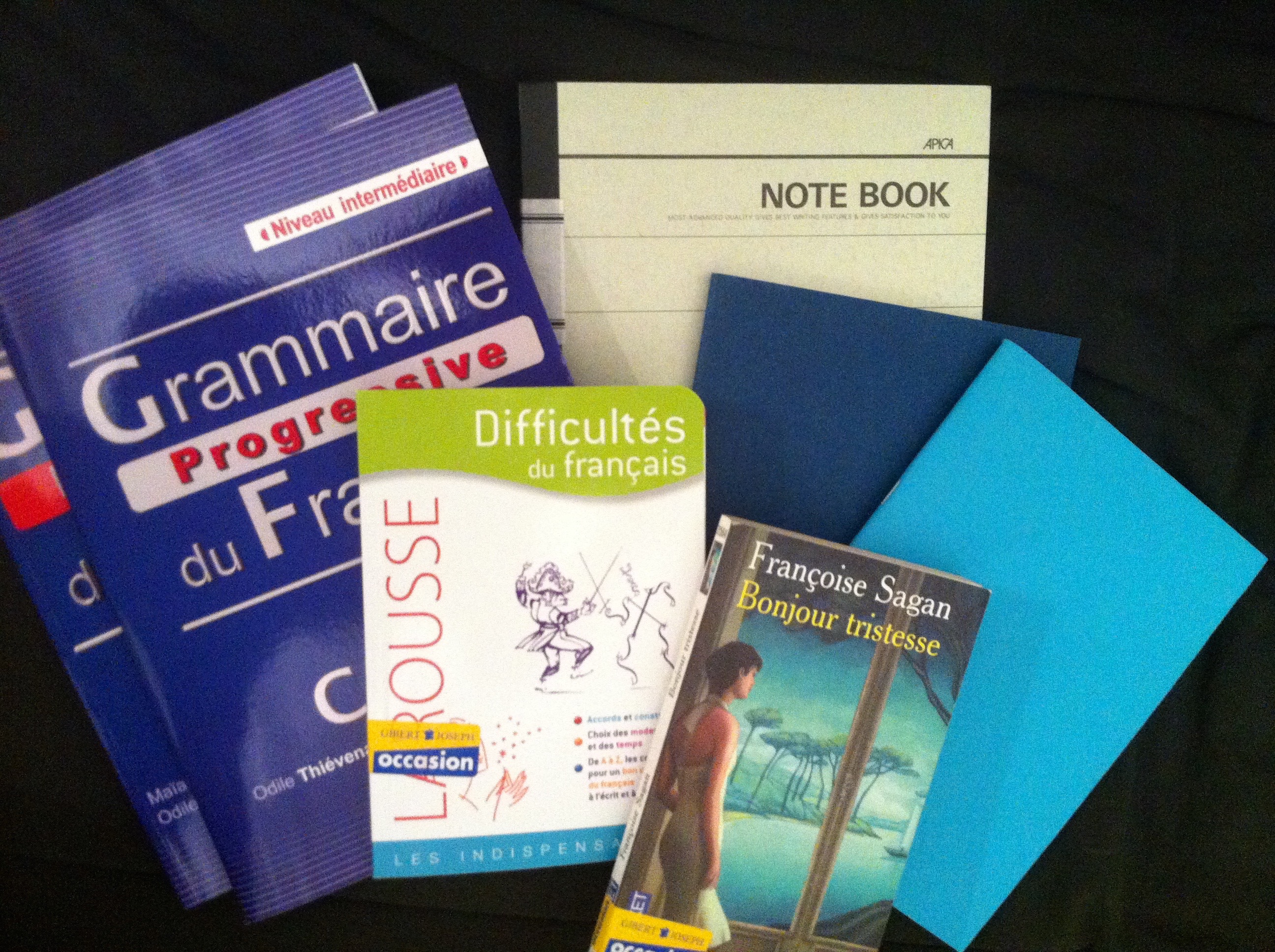 French Grammar Book