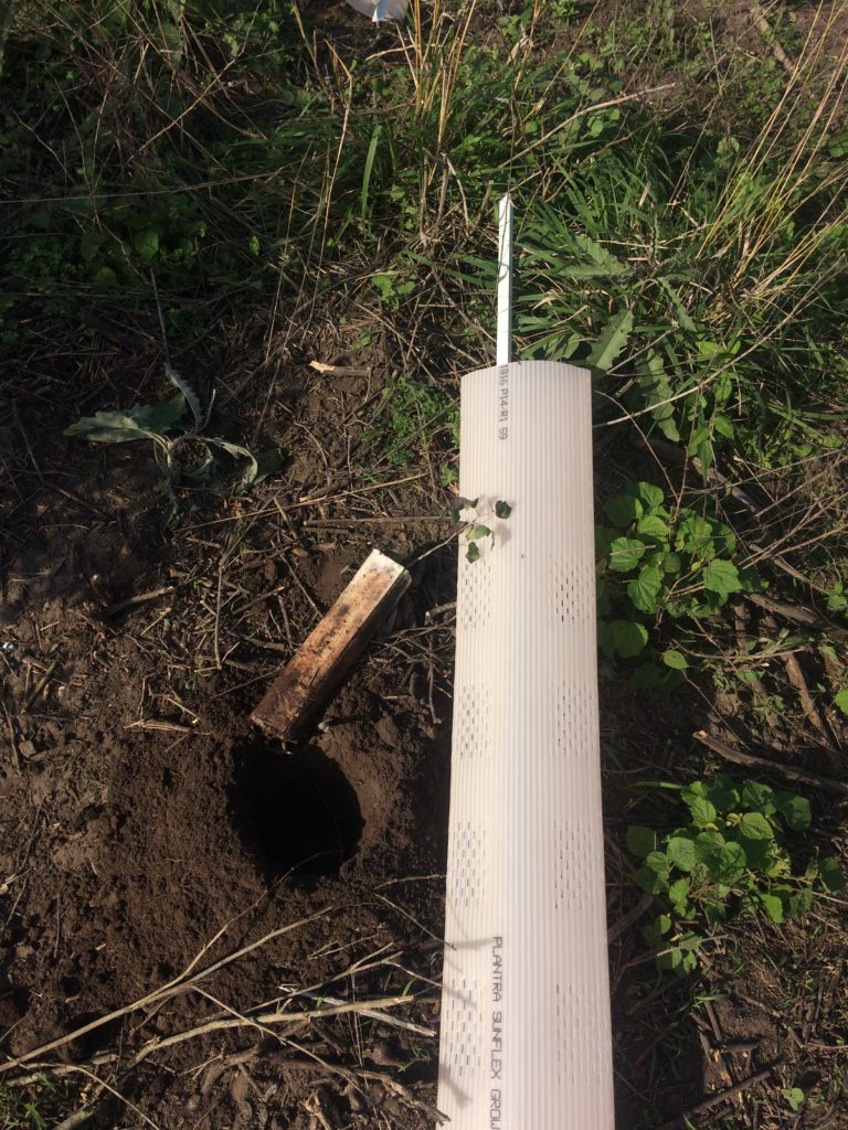 hole with plant and tube