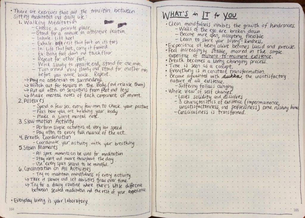 MIndfulness in Plain English Notes 8
