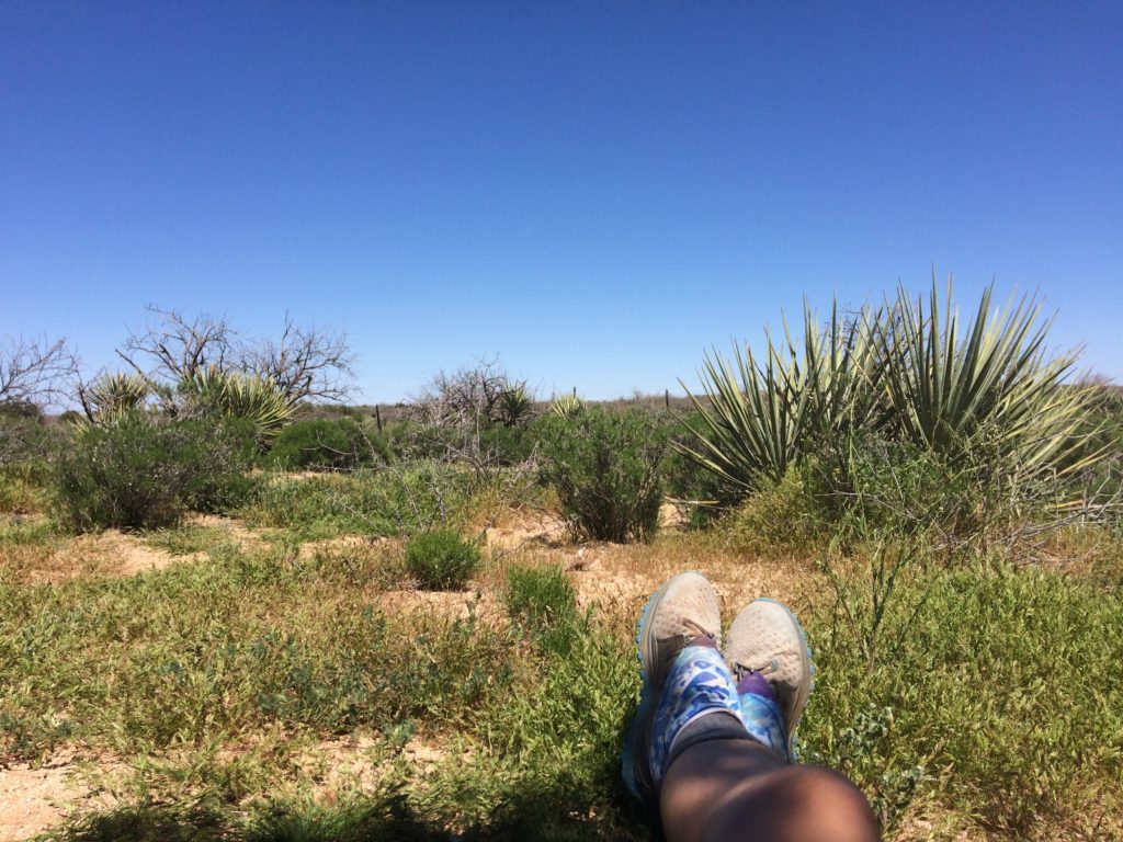 azt-desert-shade