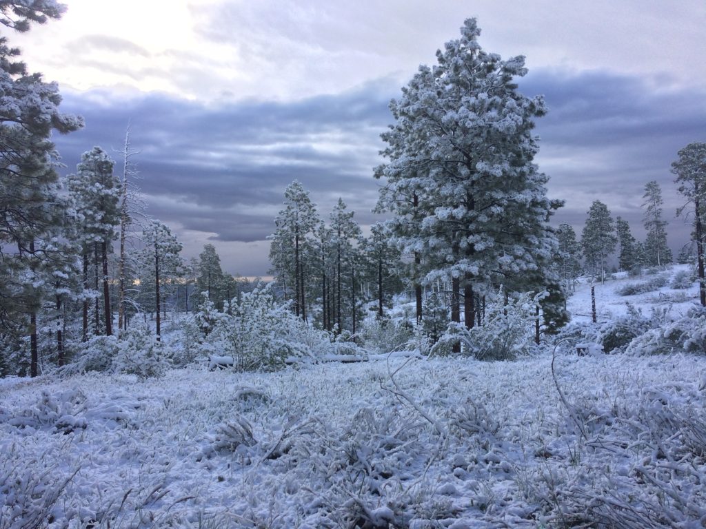 azt-snow