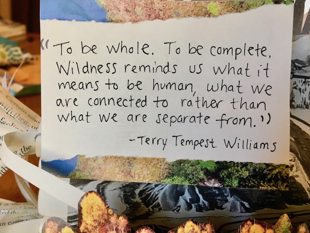 terry tempest williams quote
